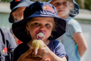 A young child, wearing a blue hat and pacifier, holds a small yellow duckling at the daycare. Other children are visible in the background.