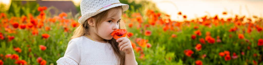 A young girl wearing a white dress and hat smells an orange poppy flower in a field of blooming poppies.