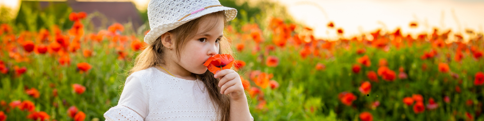 A young girl wearing a white dress and hat smells an orange poppy flower in a field of blooming poppies.