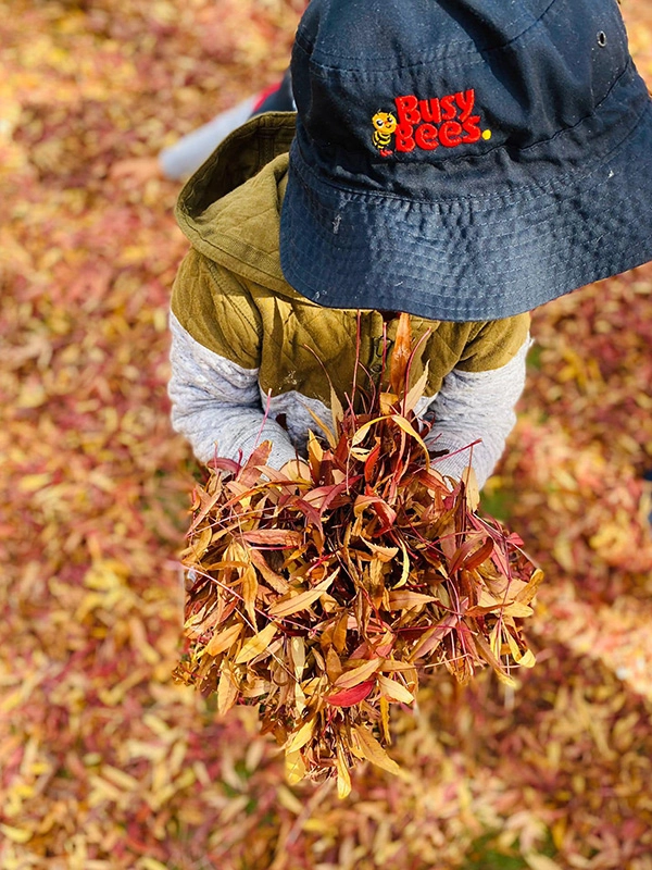 Child holding autumn leaves