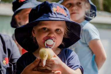 The Benefits of Animals in Early Childhood Settings - Busy Bees The Benefits of Animals in Early Childhood Settings - Busy Bees
