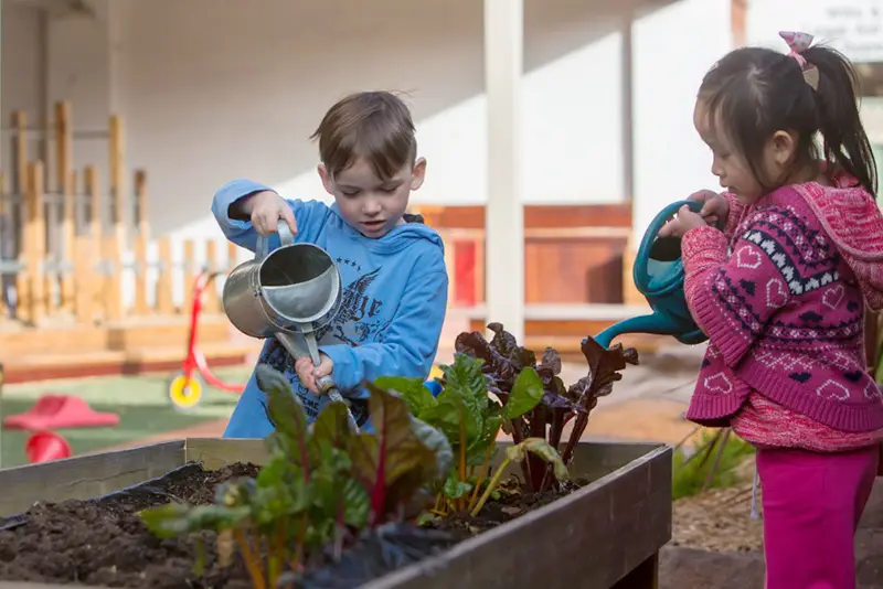 Children watering the garden