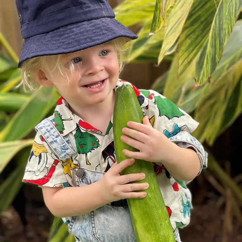 child holding a large cucumber from the vegetable garden of Busy Bees at Mermaid Waters