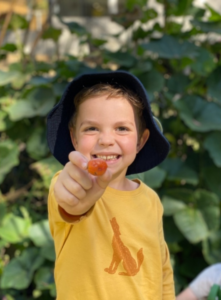 Child holding a tomato