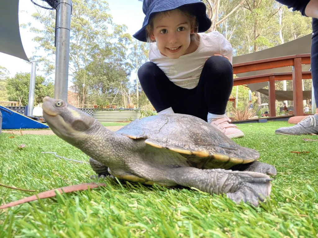Child with a turtle