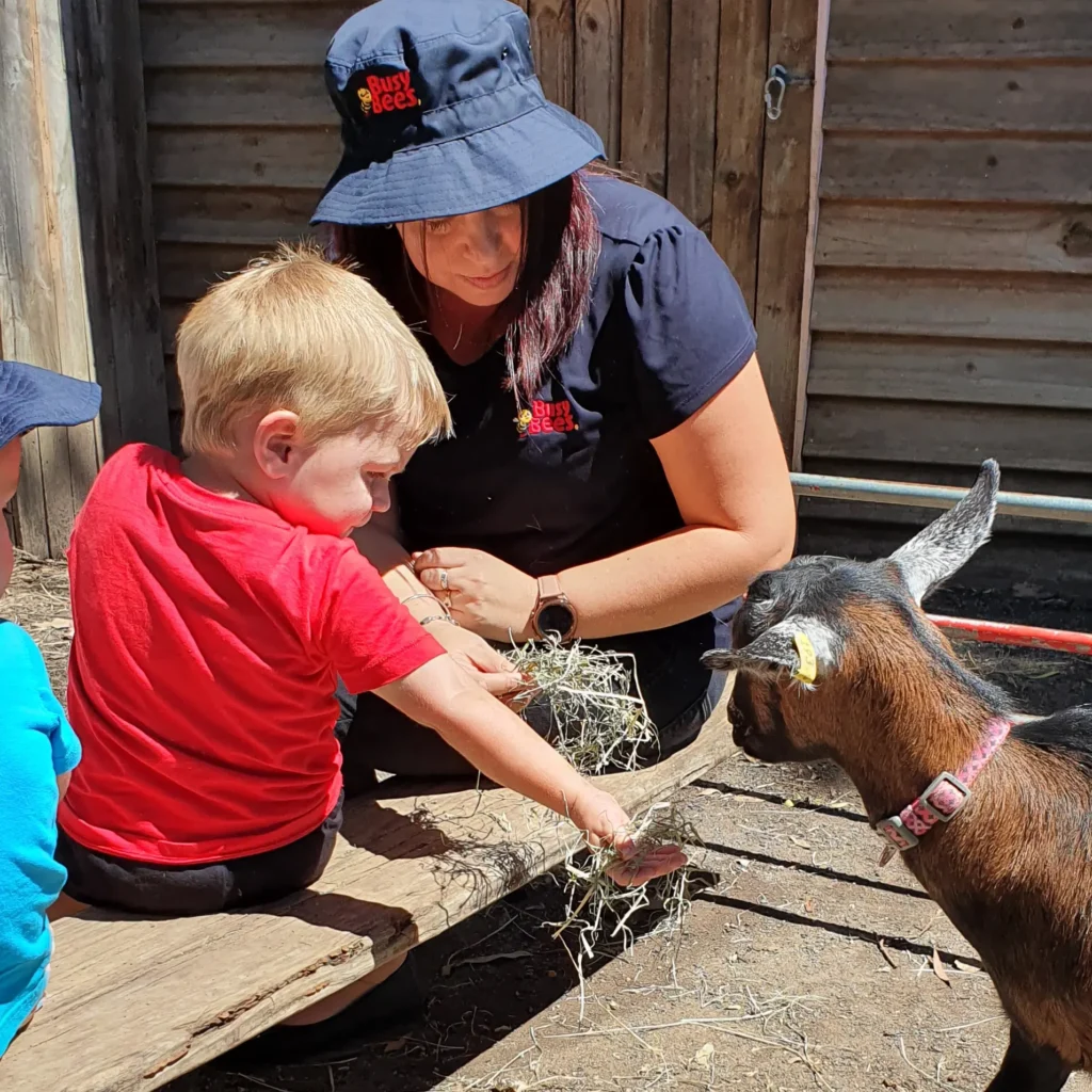 Busy bees kid feeding an animal