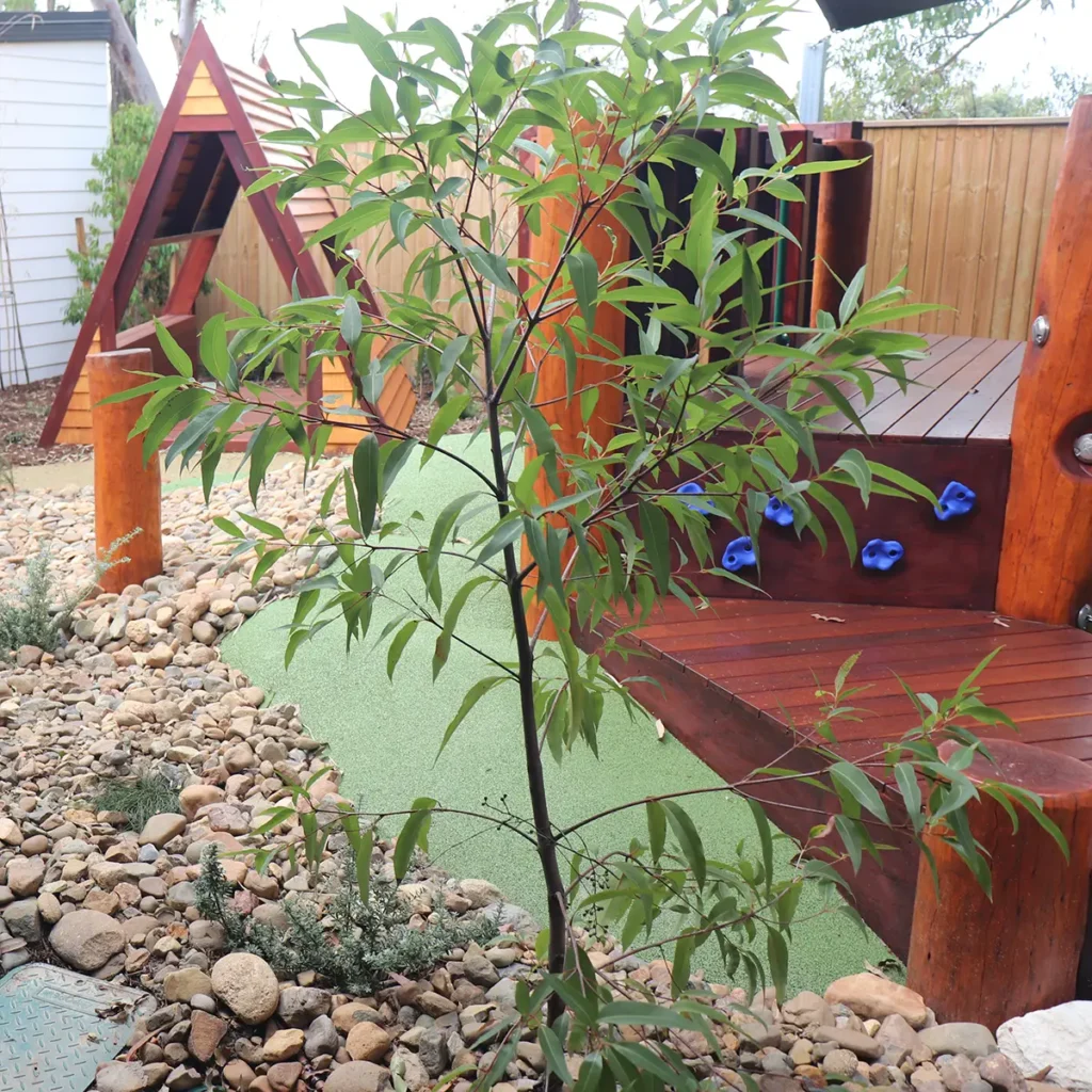 Planted area at Pimpama day care centre