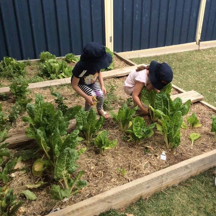 Children gardening at Busy Bees at Chinchilla