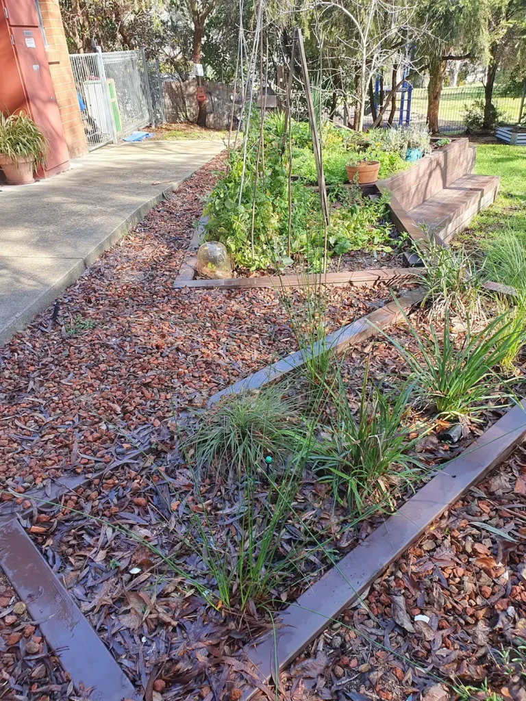 Edible native garden at Mawson daycare