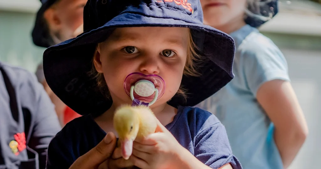 Toddler holding a baby chick