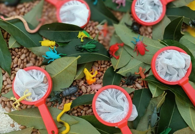 Various toy insects and bugs scattered on a leaves, with nets nearby for fun exploration and discovery.